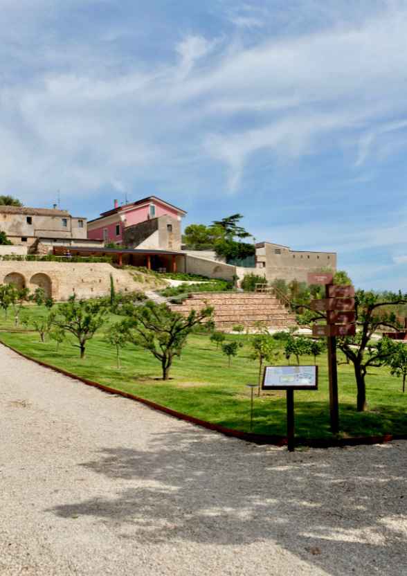 Percorso didattico e segnaletica direzionale all'interno del giardino botanico Hortus.
